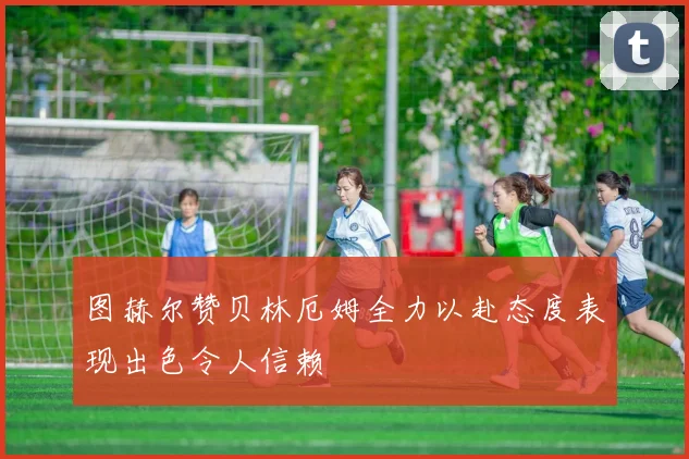 图赫尔赞贝林厄姆全力以赴态度表现出色令人信赖