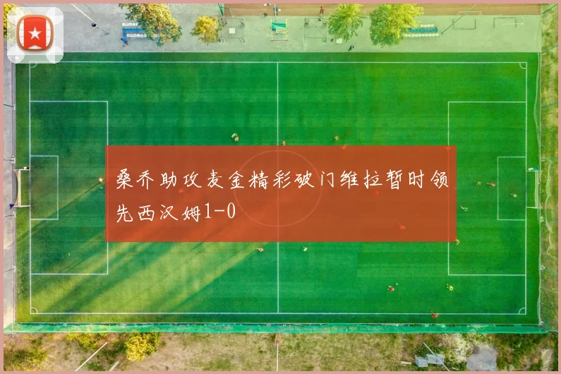 桑乔助攻麦金精彩破门维拉暂时领先西汉姆1-0