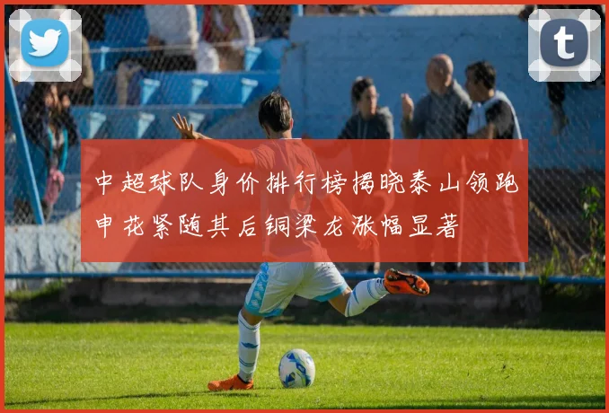 中超球队身价排行榜揭晓泰山领跑申花紧随其后铜梁龙涨幅显著
