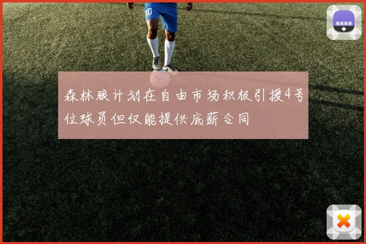 森林狼计划在自由市场积极引援4号位球员但仅能提供底薪合同